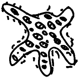 Abbildung (figur2-m-120r.png)