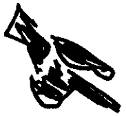 Abbildung (hand1-m-beta-r.png)